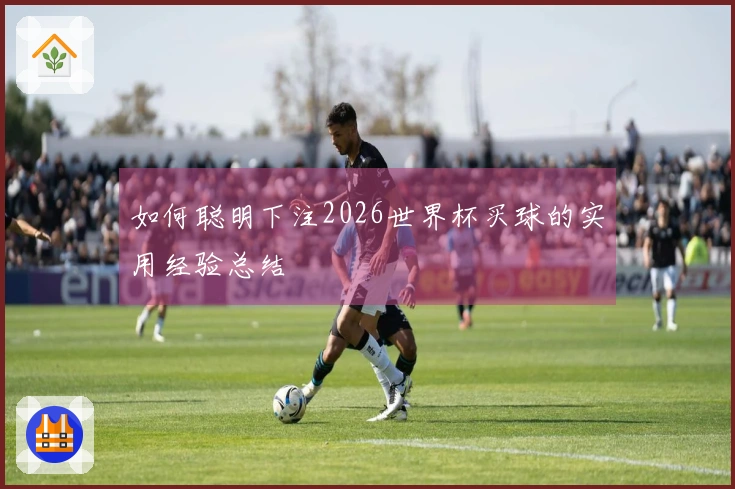 如何聪明下注2026世界杯买球的实用经验总结