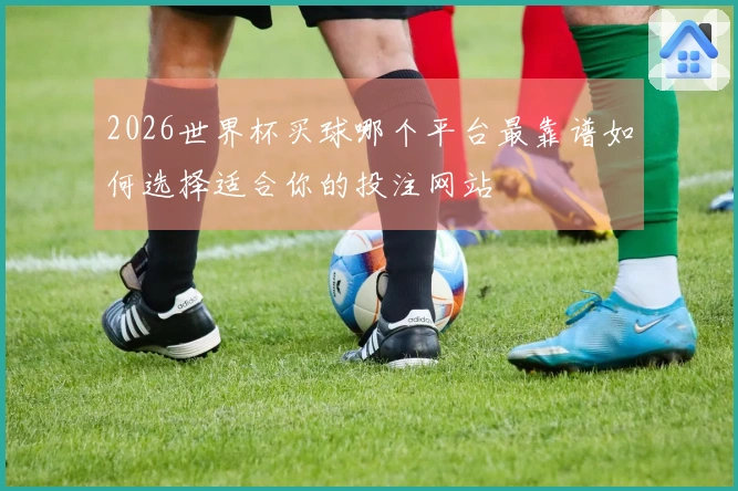 2026世界杯买球哪个平台最靠谱如何选择适合你的投注网站