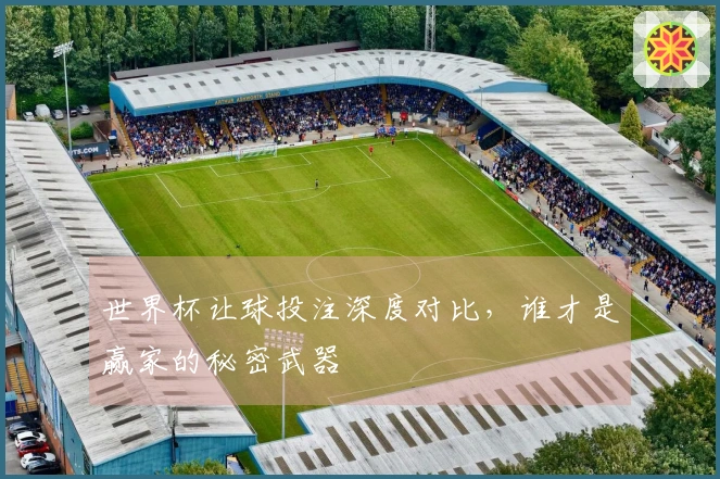 世界杯让球投注深度对比，谁才是赢家的秘密武器
