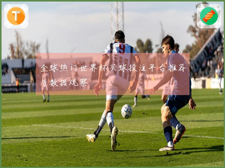 全球热门世界杯买球投注平台推荐与数据观察