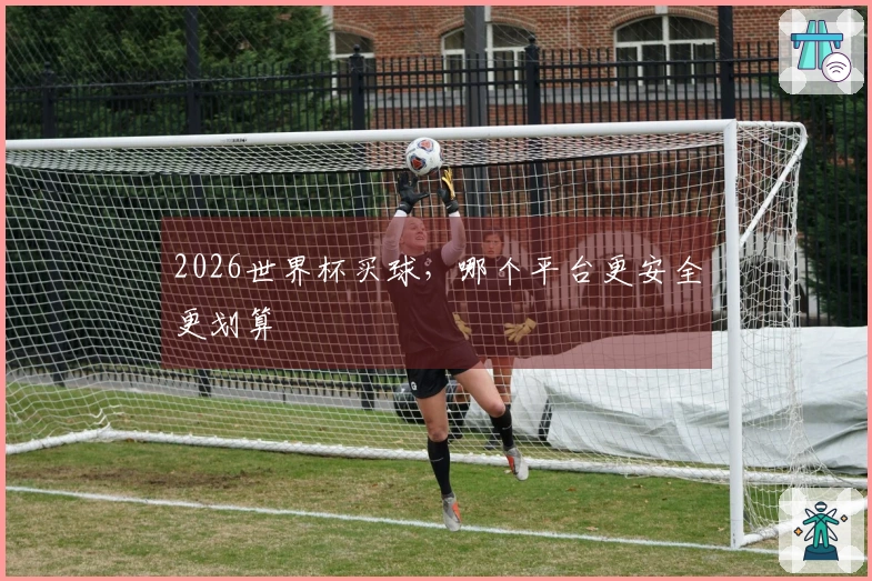 2026世界杯买球，哪个平台更安全更划算