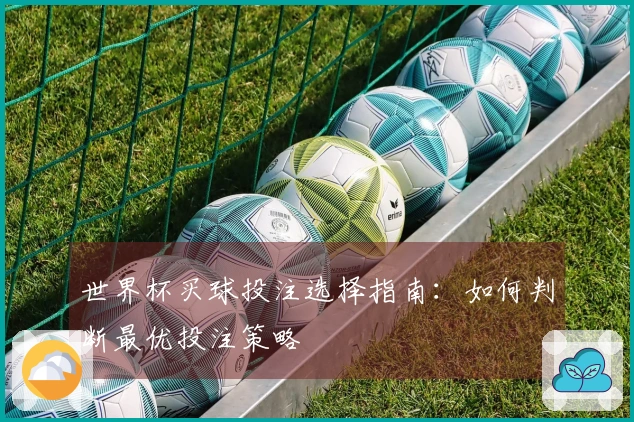 世界杯买球投注选择指南：如何判断最优投注策略